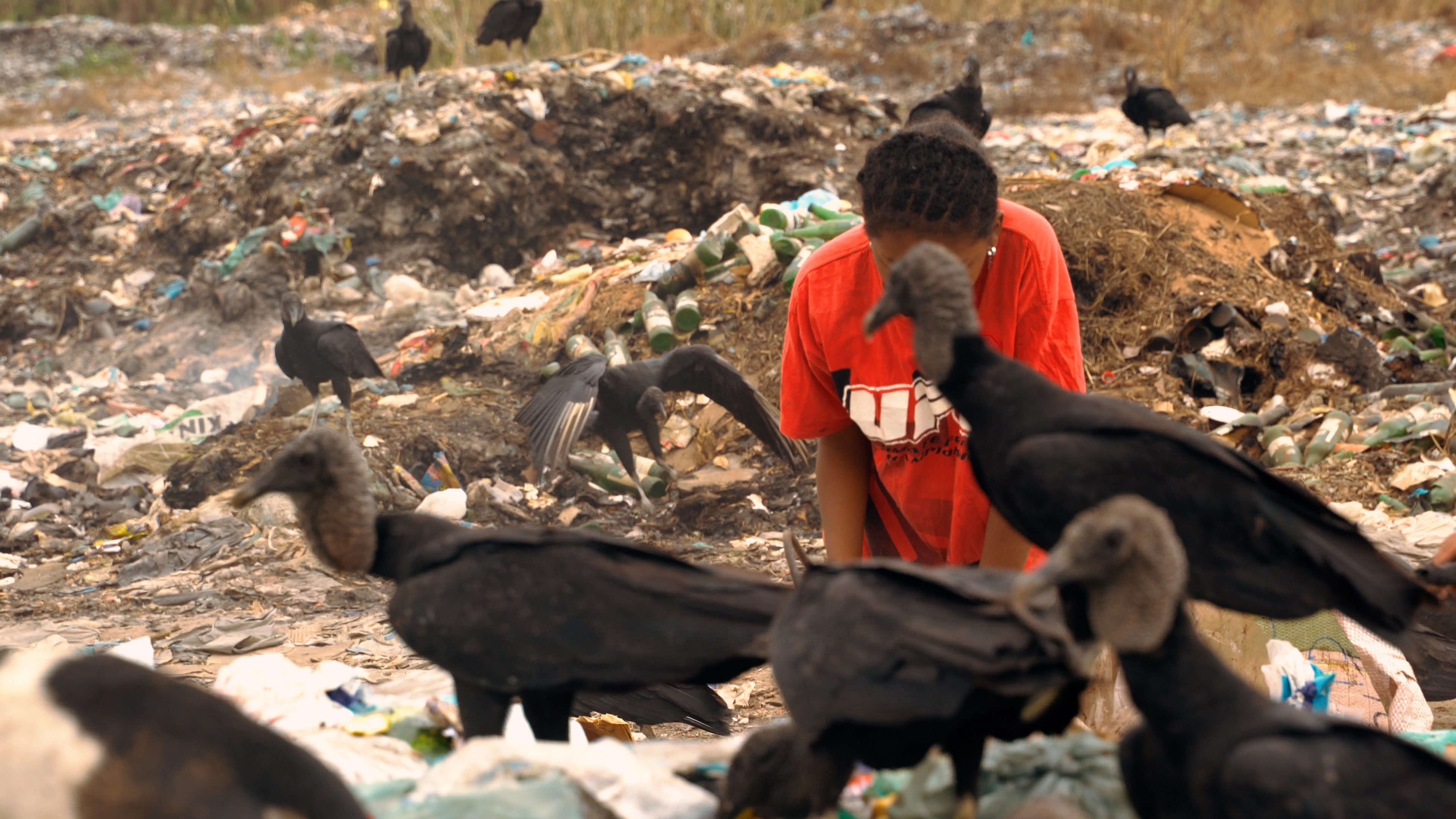Humanidade Descartável